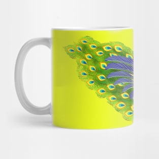 Peacock feather texture Mug